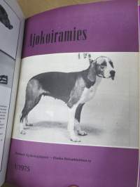 Ajokoiramies - isohko erä 1960-70 lukujen lehtiä erilaisina sidoksina ja irtonumeroina