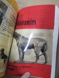 Ajokoiramies - isohko erä 1960-70 lukujen lehtiä erilaisina sidoksina ja irtonumeroina