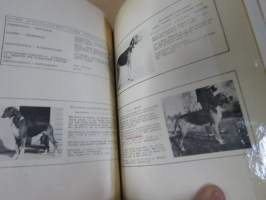 Ajokoiramies - isohko erä 1960-70 lukujen lehtiä erilaisina sidoksina ja irtonumeroina