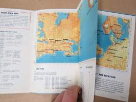 Loftleidir Icelandic Airlines - Flying abroad -myyntiesite / mainosesite