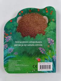 Pikku siili