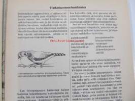 Loistopeipot (hoito-opas: Oikea ruokinta, Sairaudet ja niiden hoito,Varusteet)
