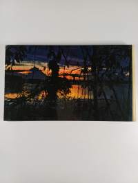 Amazonas : Emil Schulthessin kuvateos