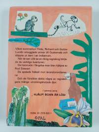 Regnskogsjakten