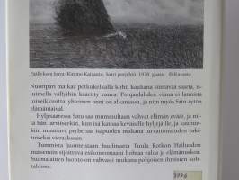 Saman taivaan alla