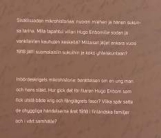 Hugo 1918. ( Kansalaissota, sotahistoria, sisällissodat , vankileirit )