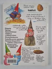 Suuri taskutonttukirja
