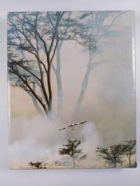 Serengeti