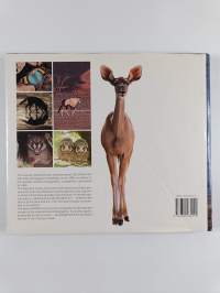 The Best of Wildlife Photography in Southern Africa