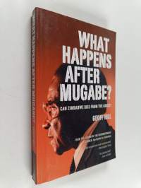 What happens after Mugabe? - Can Zimbabwe rise from the ashes?