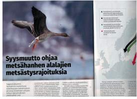 Metsästäjä 4 / 2024