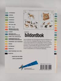 Spansk bildordbok - svenska-spanska