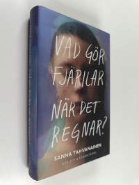 Vad gör fjärilar när det regnar?
