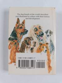Dogs