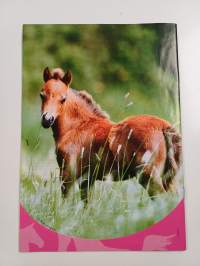 Pollux 1-9/2004