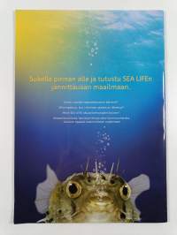 Pinnan alla - Sukella maailmaamme : Sea Life Helsinki
