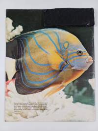 Merten salaisuudet 1-13/1977 (Numero 4 puuttuu)