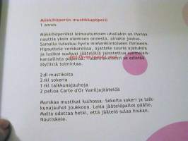 Pieni jäätelökirja