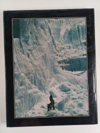 Kilimanjaro