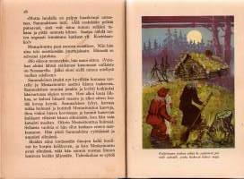 Mestaritontun seikkailut