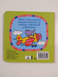 Ilmon kanssa lentämässä