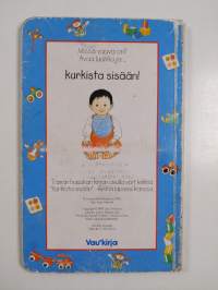 Kurkista sisään