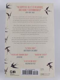 All the birds in the sky