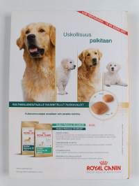 Kultainennoutaja - Golden info : Kultaisennoutajan omistajan käsikirja