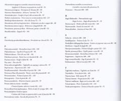 Italiaa kokaten - maalaismakuja etelästä = sapori rustici del sud, 2007.