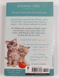 Kittens in the Kitchen