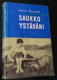 Saukkoystäväni