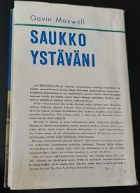 Saukkoystäväni