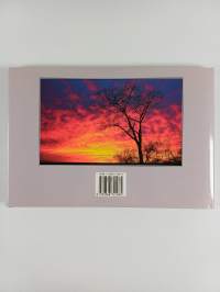 Kruger - A Visual Souvenir