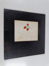 A souvenir album of flowers - From royal collection
