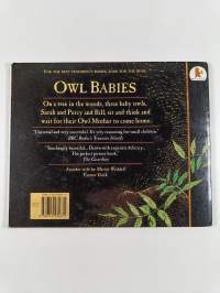 Owl babies