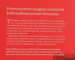 Vihan ja rakkauden liekit - kohtalona 1930-luvun Suomi. (Suomen historia, politiikka)