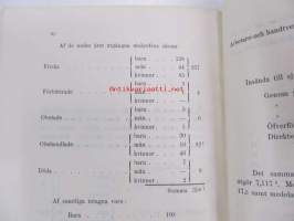 Årsberättelse från Maria sjukhus i Helsingfors för år 1906