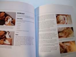Trimmaa koira kotona