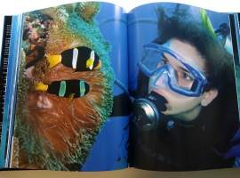 The Art of Diving and adventure in The underwater world