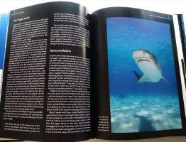 The Art of Diving and adventure in The underwater world