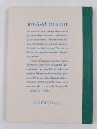 Metsässä tapahtuu : satu metsän arki- ja juhlapäivistä