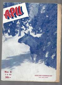 Apu 1953 nr 6
