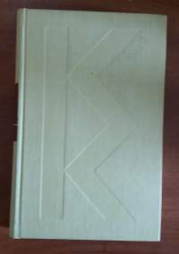Holtiton mies