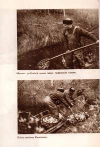 Sompio. Luiron korpien vanhaa elämää