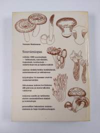 Suursieniopas