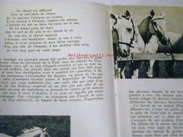 Le Cheval  dans la nature