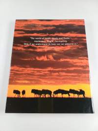 Fascination of Large Numbers : Herds, Swarms and Flocks
