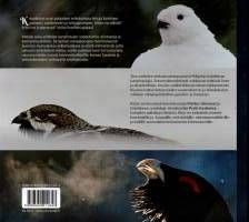 Metson suku  -Suomen kanalinnut