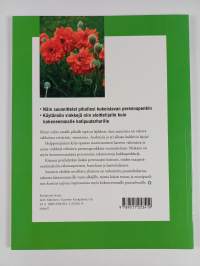 Kotipihan perennat