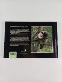 Panda : rakastettu ja uhanalainen